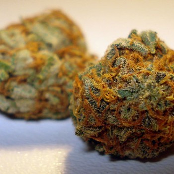 The most common weed strains